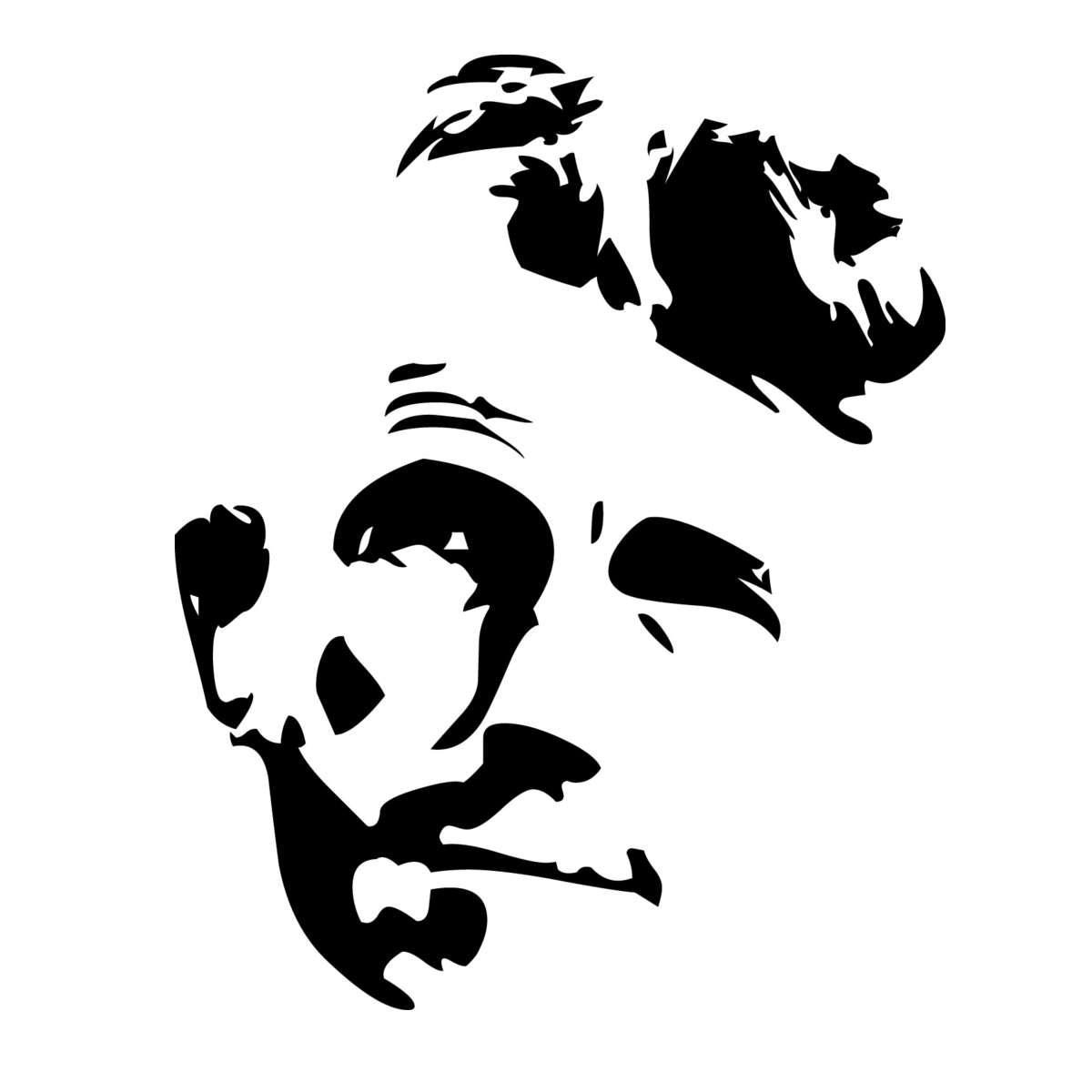 Grafische Abbildung von Edmund Hillary
