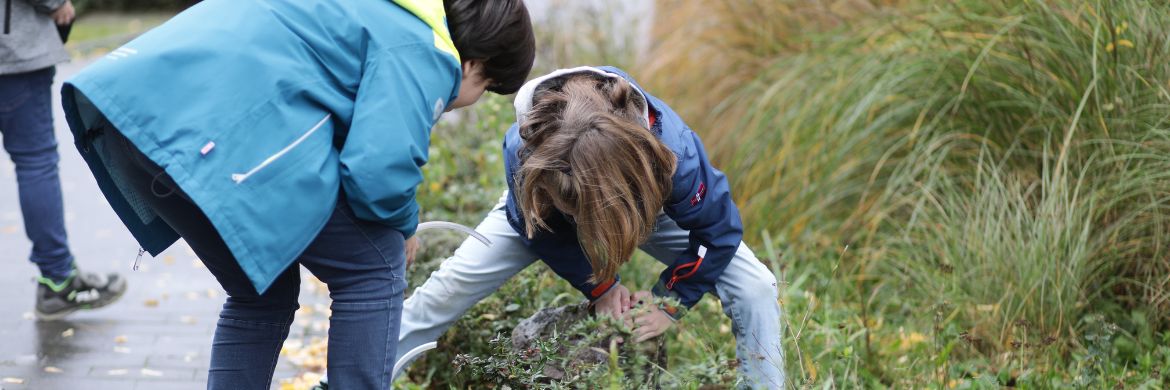 Kinder untersuchen ein Beet